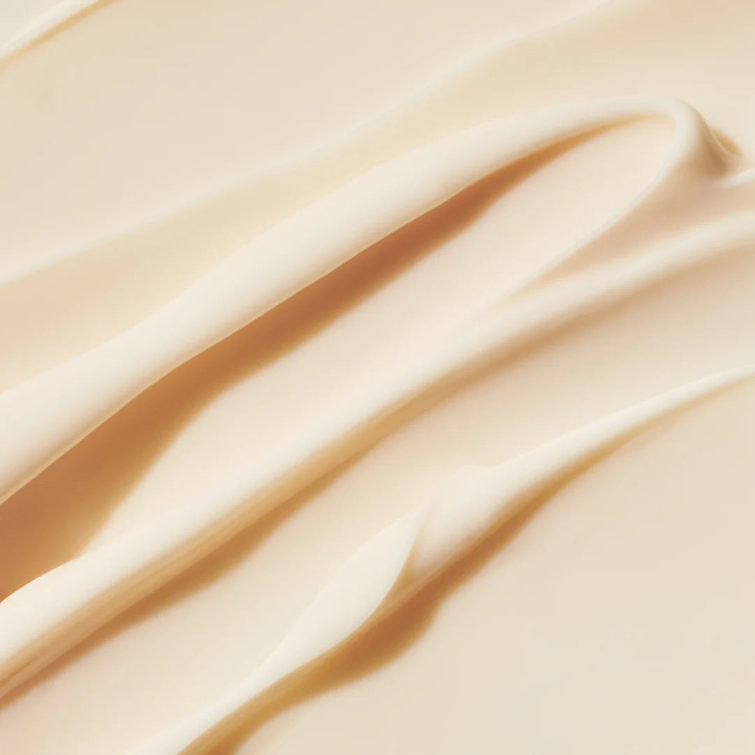 Sulwhasoo Concentrated Ginseng rejuvenating Cream Perfecting rich Set