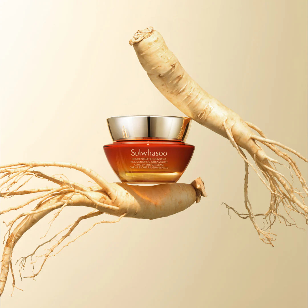 Sulwhasoo Concentrated Ginseng rejuvenating Cream Perfecting rich Set