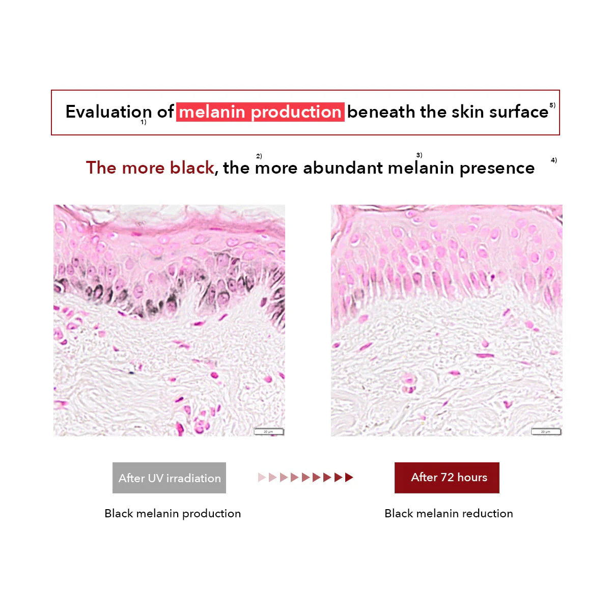 CENTELLIAN24 MADECA CREAM TIME REERSE 50ml