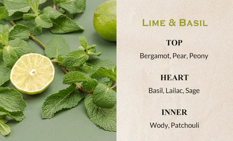 Avette Botanic Relief Lime & Basil Perfume Hand Cream