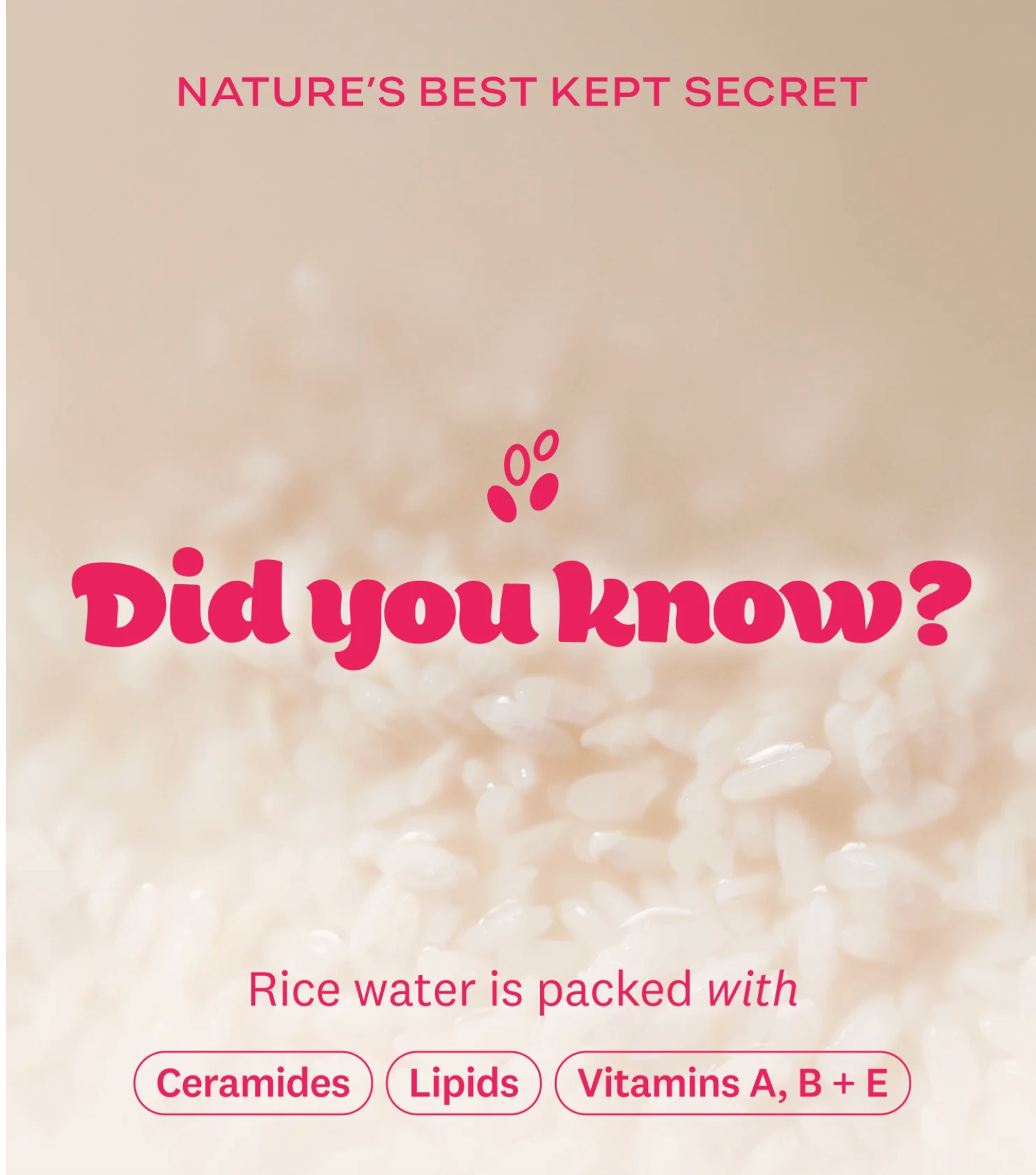 THEFACEESHOP RICE WATER BRIGHT MILK&JELLY DOUBEL FOAMING CLEANSER