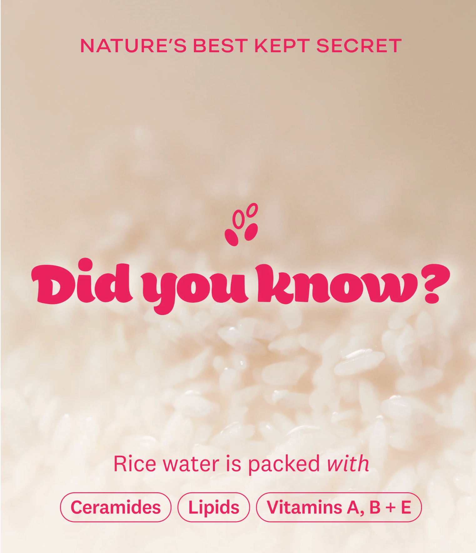THEFACESHOP RICE WATER BRIGHT CLEANSING WIPES