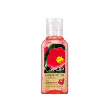 NATURE REPUBLIC Hand & Nature Sanitizer Gel (1 PACK OF 5)