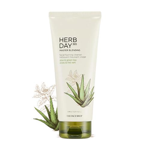 HERBDAY 365 MASTER BLENDING FACIAL FOAMING CLEANSER | ALOE&GREENTEA