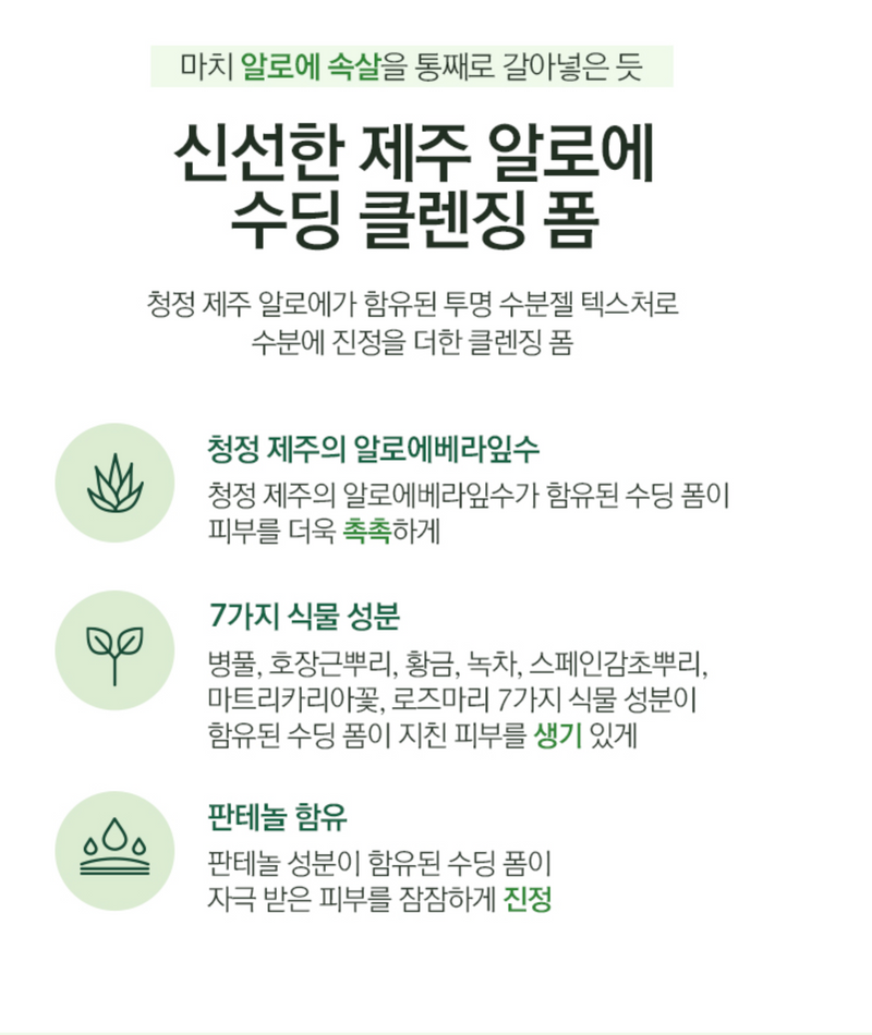 Jeju Aloe Fresh Soothing Foam Cleanser