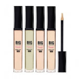 Big Cover Skin Fit Concealer PRO
